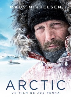 Voir Arctic en streaming sur Filmo