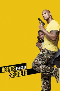 Voir Agents presque secrets en streaming sur Filmo