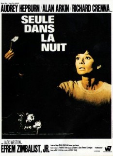 Voir Seule dans la nuit en streaming sur Filmo