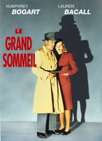 Voir Le grand sommeil en streaming et VOD