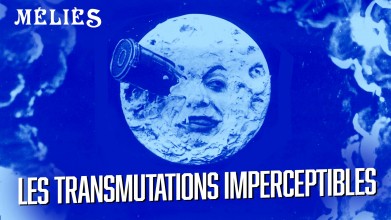 Voir Les transmutations imperceptibles en streaming et VOD