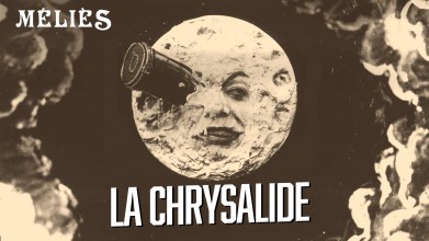 Voir La chrysalide en streaming et VOD