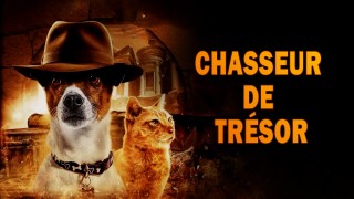 Voir Chasseur de trésor en streaming et VOD