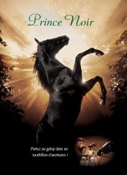 Voir Prince Noir en streaming et VOD