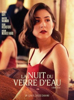 Voir La nuit du verre d'eau en streaming sur Filmo