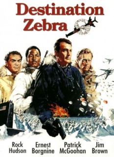 Voir Destination Zebra, station polaire en streaming sur Filmo