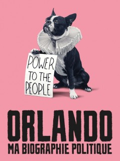 Voir Orlando, ma biographie politique en streaming sur Filmo