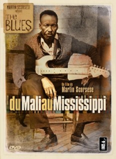 Voir Du Mali au Mississippi en streaming sur Filmo