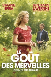 Voir Le goût des merveilles en streaming sur Filmo