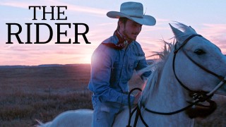 Voir The Rider en streaming et VOD