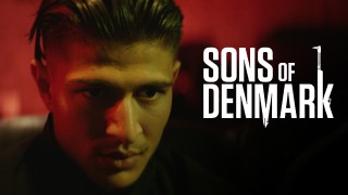 Voir Sons of denmark en streaming et VOD