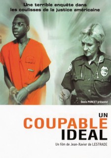 Voir Un coupable idéal en streaming sur Filmo