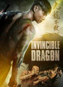 Voir Invincible dragon en streaming et VOD