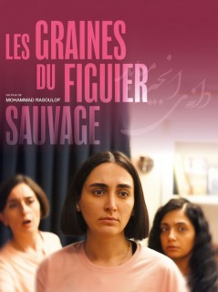 Voir Les Graines du figuier sauvage en streaming sur Filmo