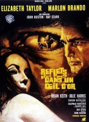 Voir Reflets dans un oeil d'or en streaming et VOD