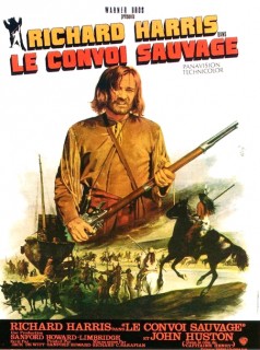 Voir Le convoi sauvage en streaming sur Filmo