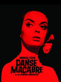 Voir Danse macabre en streaming sur Filmo