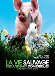 Voir La vie sauvage des animaux domestiques en streaming et VOD