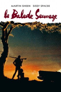 Voir La balade sauvage en streaming sur Filmo