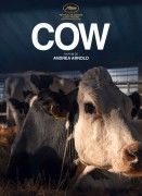 Voir Cow en streaming et VOD