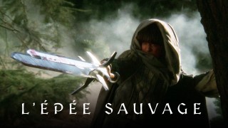 Voir L'épée sauvage en streaming et VOD