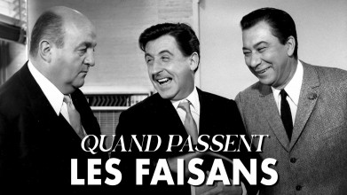 Voir Quand passent les faisans en streaming et VOD