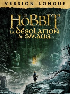 Voir Le Hobbit : La Désolation de Smaug (Version longue) en streaming sur Filmo