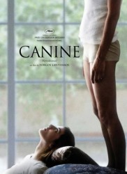 Voir Canine en streaming et VOD