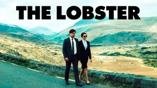 Voir The Lobster en streaming et VOD