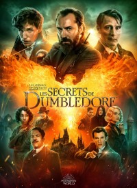 Voir Les Animaux Fantastiques : Les Secrets de Dumbledore en streaming et VOD