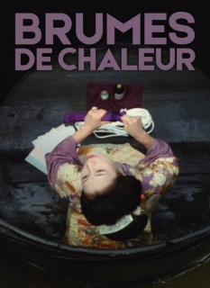 Voir Brumes de chaleur en streaming sur Filmo