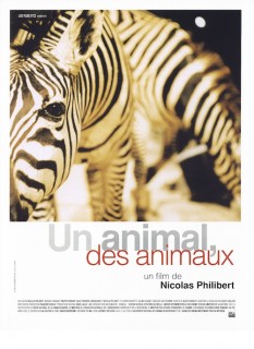 Voir Un animal, des animaux en streaming sur Filmo