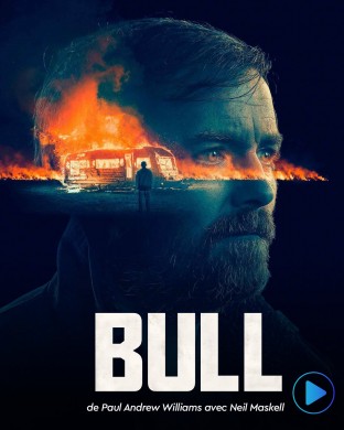 bull