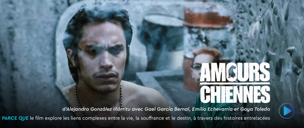 Amours chiennes