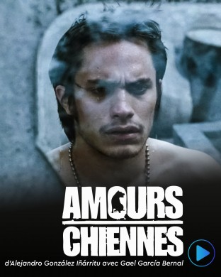 Amours chienne