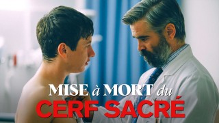 Voir Mise à mort du cerf sacré en streaming et VOD
