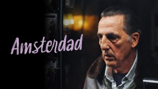 Voir Amsterdad en streaming et VOD