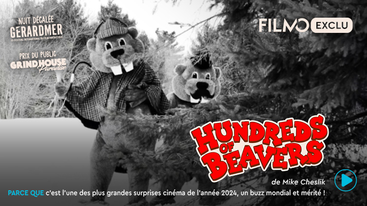 Hundreds of beavers Hundreds of beavers