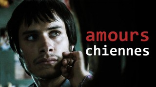 Voir Amours chiennes en streaming et VOD