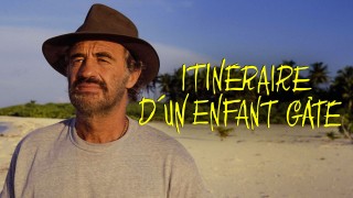 Voir Itinéraire d'un enfant gâté en streaming et VOD