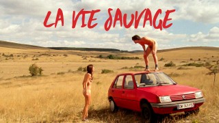 Voir La Vie sauvage en streaming et VOD