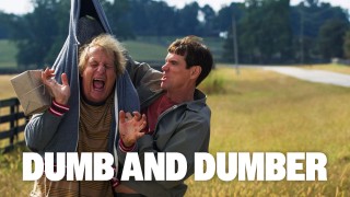 Voir Dumb and Dumber en streaming et VOD