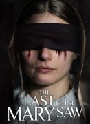 Voir The Last Thing Mary Saw en streaming et VOD