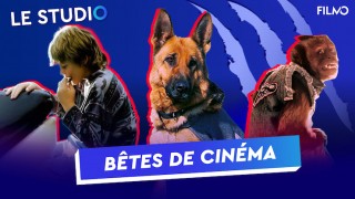 LE STUDIO - ANIMAUX LE STUDIO - ANIMAUX