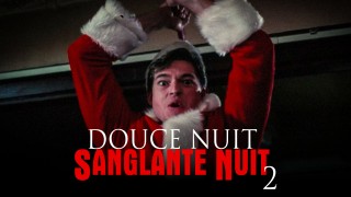 Voir Douce nuit, sanglante nuit 2 en streaming et VOD