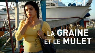 Voir La graine et le mulet en streaming et VOD