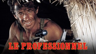 Voir Le professionnel en streaming et VOD