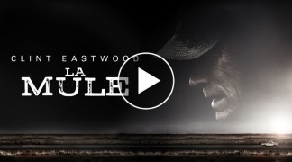 La mule - extrait La mule - extrait