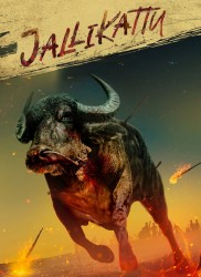 Voir Jallikattu en streaming et VOD