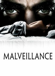 Voir Malveillance en streaming et VOD